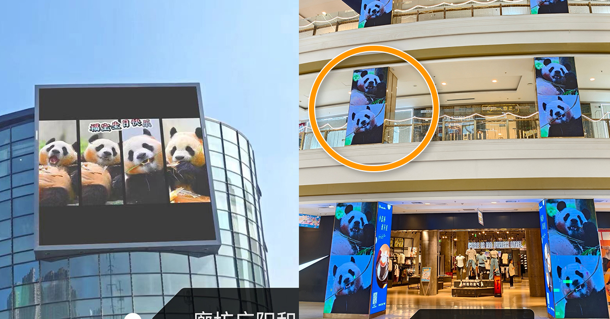“중국 이모 진짜 든든하다” 푸바오 생일 광고, 숨겨진 엄청난 스케일 공개되자 모두 깜짝 놀랐다